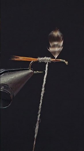 The Adams Dry Fly Tying Video #flytying #flyfishing #fishing