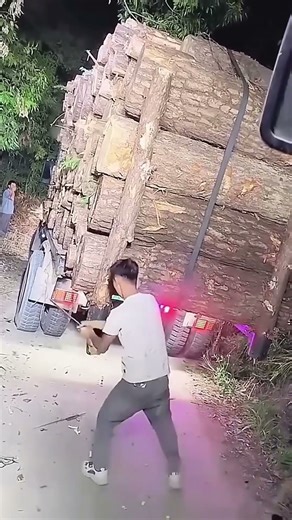 Timber Loading & Fastening Process 🪵