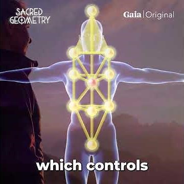 How to Rewire Your Brain: Gaia’s 50% Off Holiday Special for 12 Months