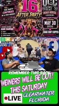 The Florida Wiener Dog Derby is back for an encore round!