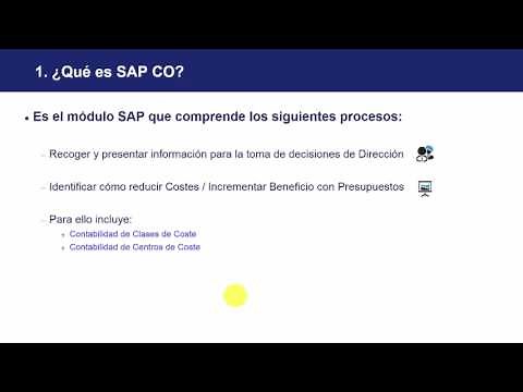 17. CURSO BÁSICO DE SAP - Controlling Visión General