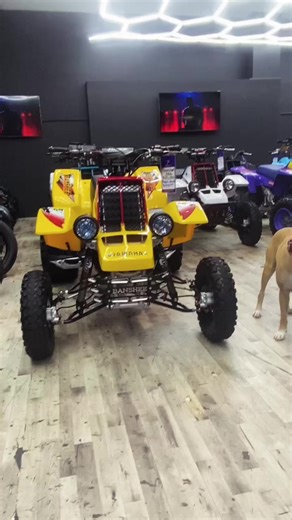 I got'em all 😤 Banshee King for a reason 🔥👑🤙 #yamaha #banshee #atvlifestyle #bikelife #marshalbhurtler