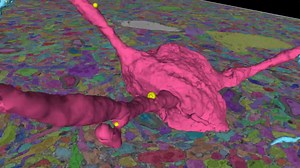 Google develops technology to image brain tissue using AI