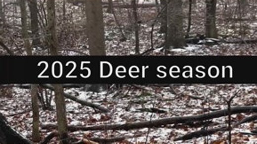 2025 deer season