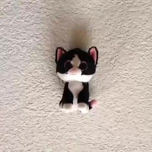 5.3K views · 3.1K reactions | Listen, Hedy- I didn't say "cat is up" | Heidi and Hedy | Facebook