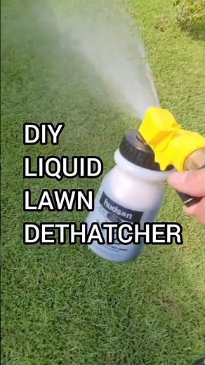 DIY Liquid Lawn Dethatcher Recipe
