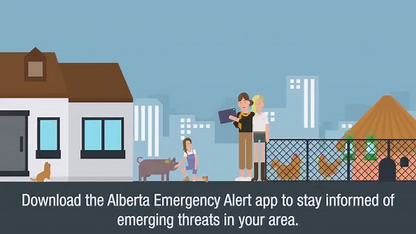 1.6K views · 12 reactions | Creating a plan for farm animals and...