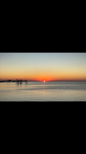 Good morning from Cedar Key 🏝️ | Living Cedar Key