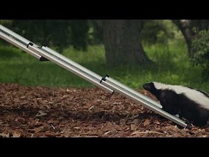 Subaru Skunk scares off a family of dogs Ad commercial