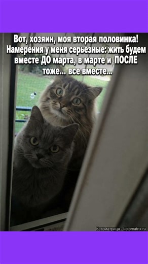 Теперь нас двое #юмор #мем #смех #приколы