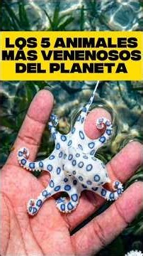 The 5 Most Poisonous Animals on the Planet