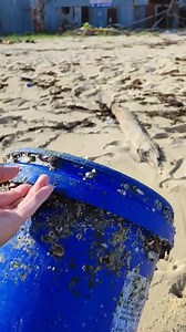 19K views · 70 reactions | This is the dirtiest I've seen Lamai Beach in a long time so I'm doing my part to pick up trash after a big storm last night. ️️ Everyone can make a difference - it just starts with one small act. Stay inspired and have a great day! ✌️ | Mike Abroad | Facebook