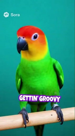 Stop Scrolling 😱 The Cutest Animals Ever! 🐾 SUBSCRIBE 💖