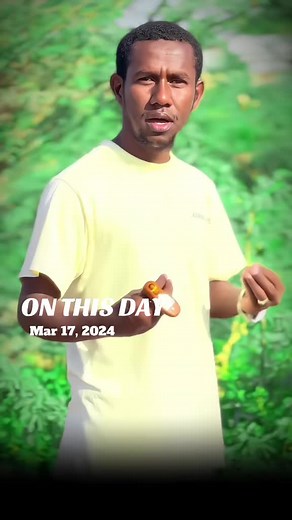 Somali Independence Day: Celebrating Our Heritage