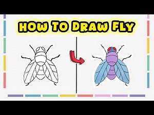 How to Draw a Fly – Simple Drawing Step-by-Step