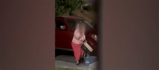 Animal services releases video of Spring Valley woman allegedly abusing Chihuahua