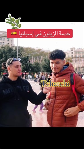 خدمة الزيتون في إسبانيا: فرص عمل جديدة