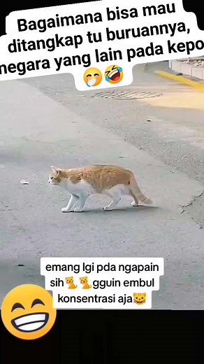 #fbpro, #videolucu, #jangkauanluas | Bunga Bunga