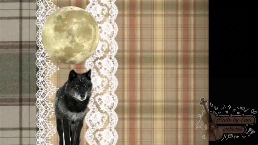 Creative Wolf Edit: Captivating Moodboard Inspiration