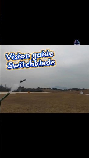 That's how do visual guide switchblade UAV work #rcplane #rc #uav #drone #militarymodel #switchblade