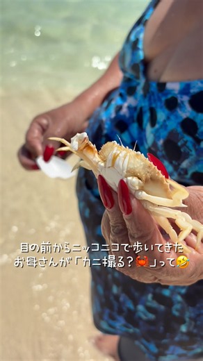 【カンクン🇲🇽のビーチお散歩】 #カンクン #メキシコ #カリブ海 #海外生活