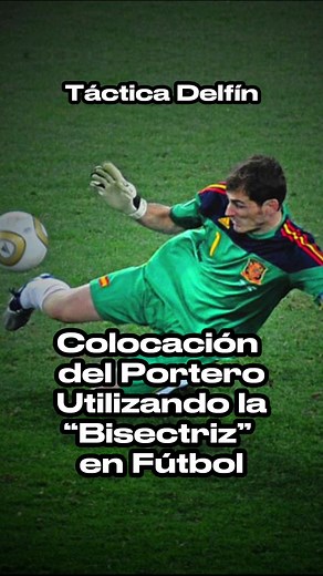 ¿Conoces el concepto de la “bisectriz” utilizada por el portero? La bisectriz define el posicionamiento que debe tomar un portero cuando va a recibir un tiro a gol. Una buena colocación es clave para poder atajar un tiro difícil.⚽️📚 #portero #goalkeeper #goalkeepertraining #conceptosfutbol #TacticaFutbol #futbol #soccer #IkerCasillas #directortecnico #entrenamientoporteros | Táctica Delfín