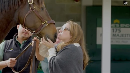Keeneland Sales on Instagram: "Each mare brought us a chapter. Together, they shape the story of Keeneland November with countless others. Watch the finale of The Journey now. . . . #Keeneland #KeeNov"