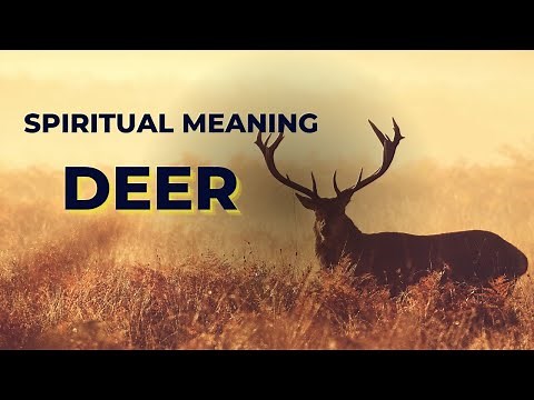 Deer Symbolism: Decoding Its Spiritual Message | FlowWithLife