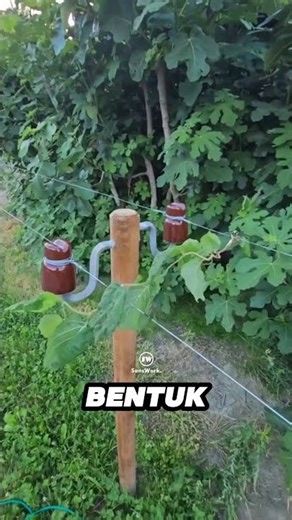 Ini Cara Pagar Listrik Melindungi Hewan
