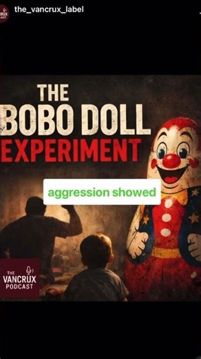 The bobo doll experiment