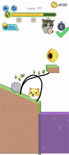 Don't Do This Level 171-172😱😨| Save the Doge#shorts#mobilegames#puzzle#walkthrough#savetheDoge#games