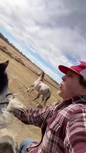 Professional Ranching in Western Colorado | Cowboy Life with Horses