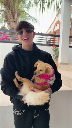 Con cuál se quedan ❤️🐾 #adrianlsantos #mascotas #musicanueva #lasdosmeduelen