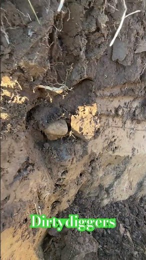 A Nodule from the local gravel chert formation