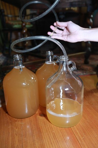 Pear Cider's Bubbly Cousin: How to Make Perry