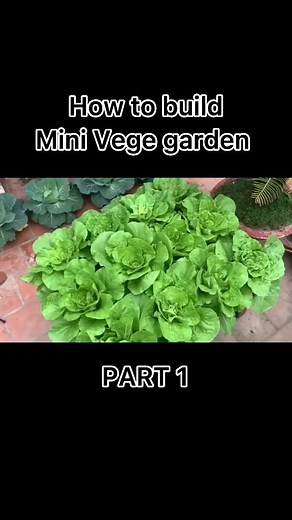 DIY Vegetable Garden Ideas: How to Build Your Own Small Garden