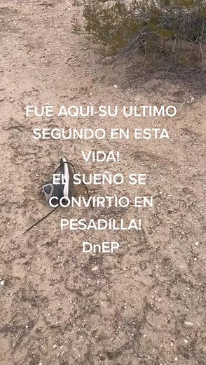 Exploring a Mysterious Desert Encounter