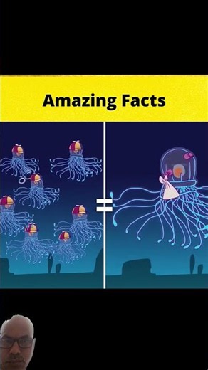 Amazing facts #shortsfeed #facts #nothingimposibleinthisworld