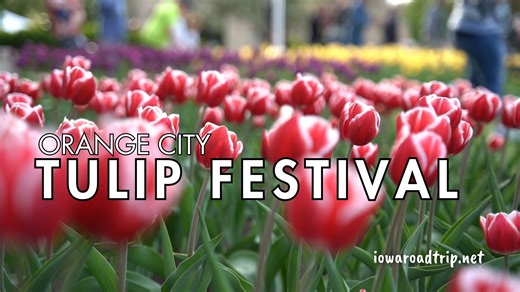17K views · 195 reactions | Orange City Tulip Festival is May 15 -17, 2025 | Iowa Road Trip | Facebook