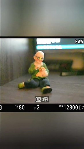 Nikon Z series Autofocus performance trick. Z50, Zfc, Z5, Z6ii, Z7ii