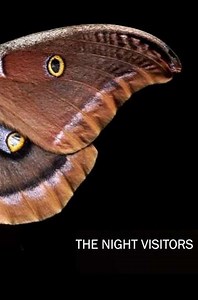 The Night Visitors - Movie