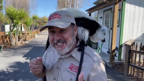 Amazing Zoo Tour with Wild Dinosaurs