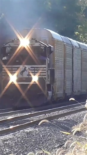 Norfolk Southern 173 AutoRack Train from Alliance, Ohio 10/18/2025 #shorts #train #railroad #auto#ns