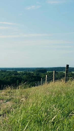 At the eleventh hour, on the eleventh day, of the eleventh month, we pause to remember those who served, those who sacrificed, and those who never returned home. Today we honour the courage and devotion of all who have worn the uniform— and we give thanks for the peace their service has made possible. Lest we Forget. #RemembranceDay #LestWeForget #TaylorAndForgie #Gawler #Community #WeWillRememberThem | Taylor & Forgie Funeral Directors