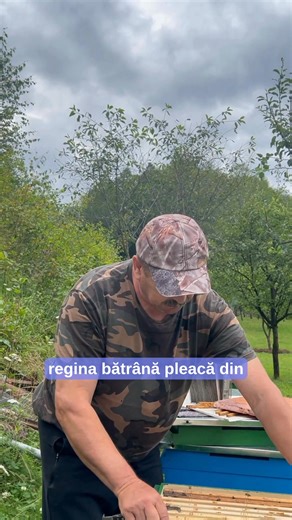 🍯 ApiLand - Apicole pentru Sănătate, direct de la Producători Români 🐝 Brand 100% românesc cu cea mai variată gamă de produse apicole din România 🛒 Intră acum pe site și cumpără bunătăți directe din stup! | ApiLand
