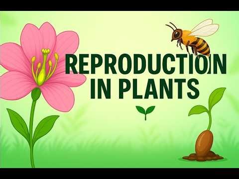 How Do Plants Reproduce? 🌱 | Flower, Pollination & Seeds #plants #flowers