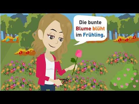 Top 50 most important nouns in the German language for beginners (A1) | @hallodeutschschule