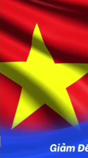 demo lễ dmx