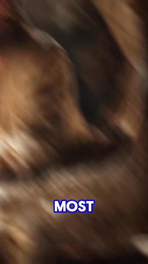 Did Jesus go to school and how many languages did he speak #reels | Realbiblestories