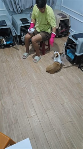 라이브 하이라이트